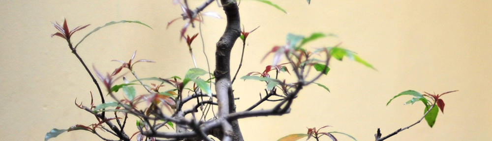 Harmonie et Chorale de Gueugnon